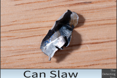 Can Slaw