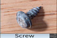 Screw Screw
