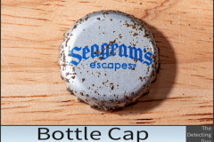 Bottle Cap 6