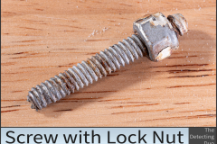 Screw Nut