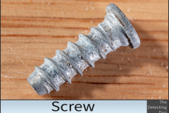 Screw