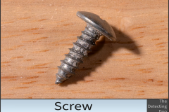 Screw 5