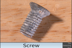 Screw 6