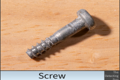Screw