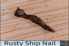 Rusty Ship Nail