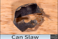 Can Slaw