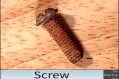 Screw 2