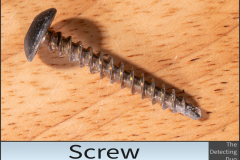 Screw