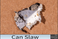 Can Slaw 2