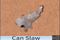 Can Slaw 3