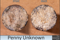 Penny Unknown 4
