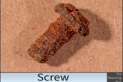 Screw