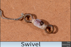 Swivel