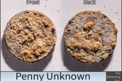 Penny Unknown 4