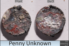 Penny Unknown