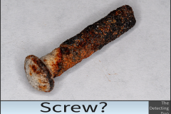 Screw