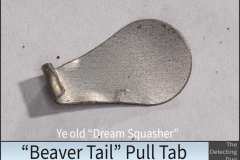 Beaver Tail