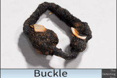 Buckle