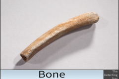 Bone