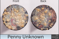 Penny Unknown 3