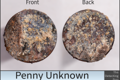 Penny Unknown
