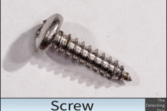 Screw