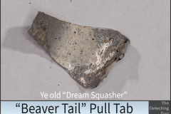 Beaver Tail