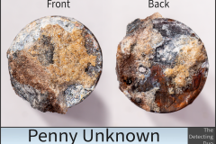 Penny Unknown 2