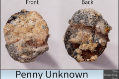 Penny Unknown 5