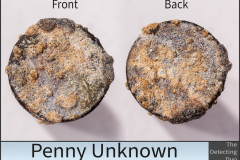 Penny Unknown 6