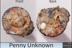 Penny Unknown 7
