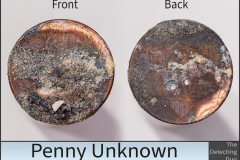 Penny Unknown