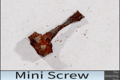 Screw