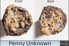 Penny Unknown 4