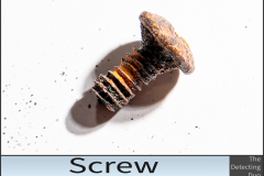 Screw