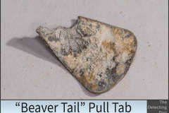Beaver Tail 2