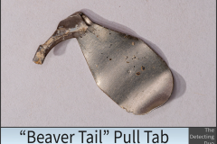 Beaver Tail