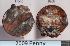 Penny 2009