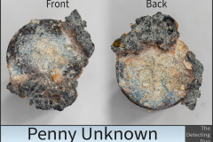 Penny Unknown 5