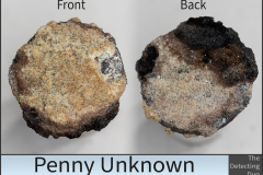 Penny Unknown 6