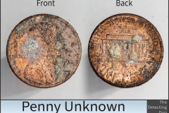 Penny Unknown