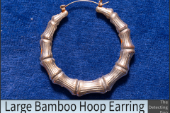Bamboo Earring