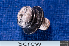 Screw
