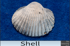 Shell
