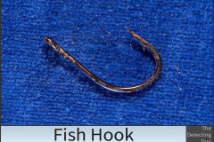 Fish Hook