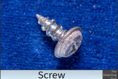 Screw
