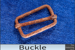 Buckle