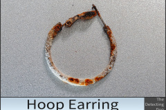 Hoop Earring