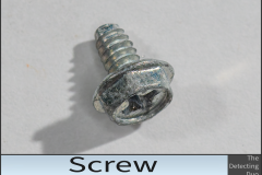 Screw
