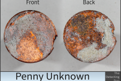 Penny Unknown 2